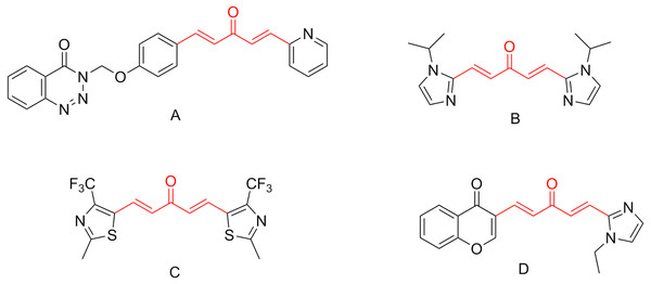 Chemical structures of bioactive molecules bearing 1,4-pentadien-3-one fragment.