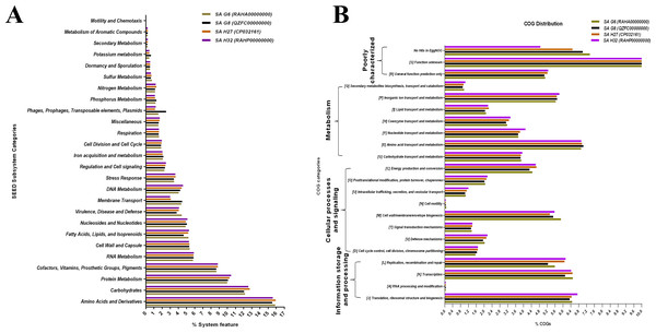 Comparative functional categorization of all predicted ORFs in the genomes of the S. aureus isolates.