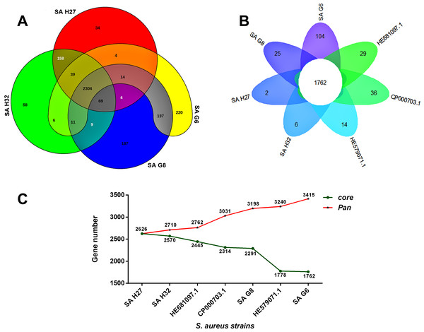 Pan-genome analysis of S. aureus strains.