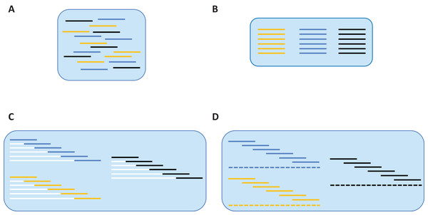 De novo assembly of SMRT reads to produce a contiguous barcode sequence.
