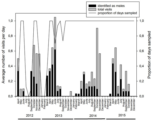 Monthly distribution of brown bear visits to the marking site.