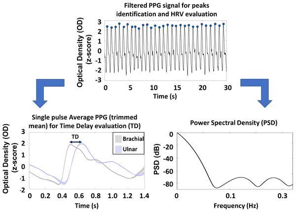 Schematic representation of the preprocessing steps of PPG signals and an example of the pulse average PPG with associated standard errors (shaded areas).