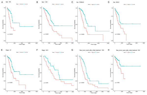 Stratified survival analyses of the LUAD patients according to the miRNA-based OS predicting classifier.