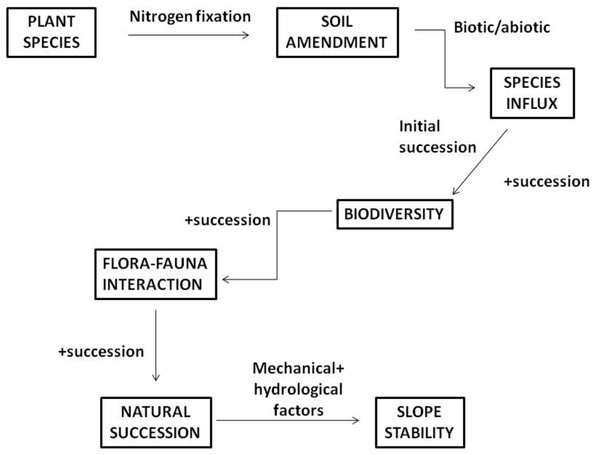 Slope stability mechanism to hasten natural succession (Normaniza, Saifuddin & Halim, 2014).