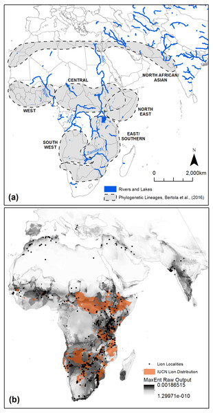 MaxEnt modelling results, genetic demarcations of the modern lion, and potential biogeographical barriers within Africa and the Near East.