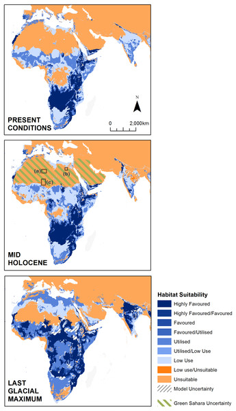 Modelled lion habitat suitability for the present day, mid-Holocene and Last Glacial Maximum, based on global environmental strata (GEnS).