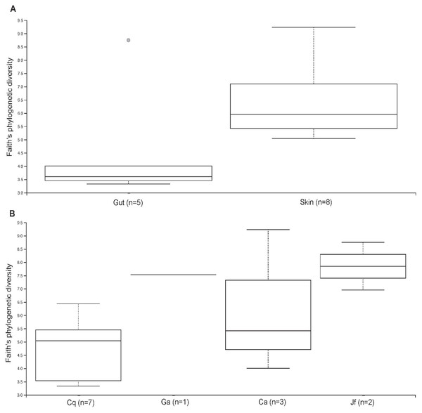 The natural product biosynthetic potential of Red Sea nudibranch ...