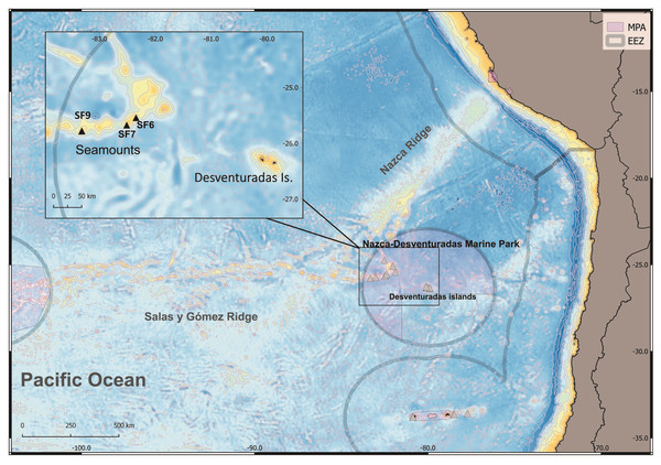 Map of the study area explored during the CIMAR22 cruise, comprising seamounts from Salas & Gómez and Nazca Ridges, Desventuradas Islands and the Juan Fernández Archipelago.