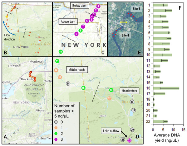 Sampling locations within the St. Regis River watershed and DNA yield.