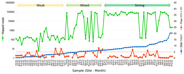 Relation between eDNA concentration and library yield.