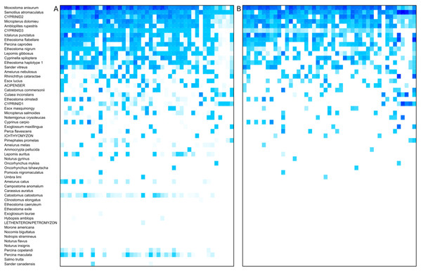 Heat map of taxon abundance by sample.