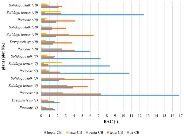 Values of PCBs bioaccumulation coefficients (BAC) in plants.