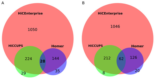 (A) Venn plot for comparing results intersection of HiCEnterprise with HiCCUPS and Homer programs. (B) Venn plot for comparing results intersection of HiCEnterprise with HiCCUPS and Homer programs with one bin freedom (if programs found the same bin +/−1, the contact is considered as common).