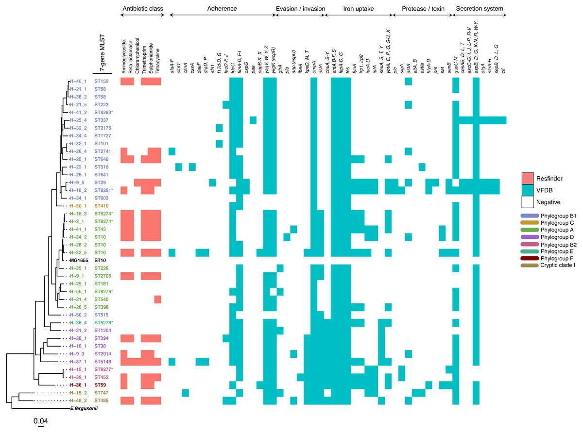 Genomic Diversity Of Escherichia Coli From Healthy Children In Rural Gambia Peerj