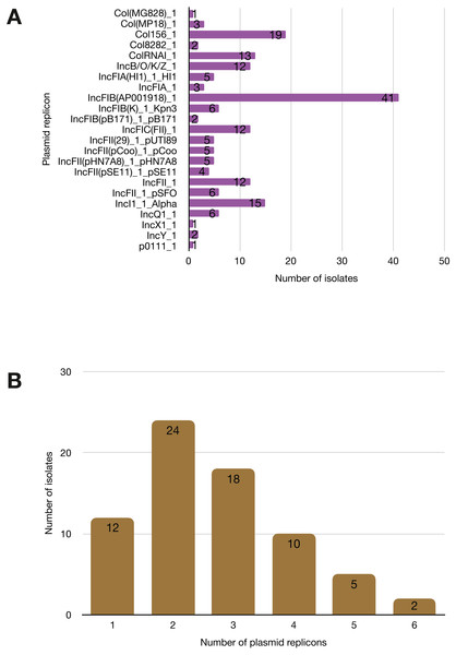 Prevalence of plasmid replicons among the study isolates.