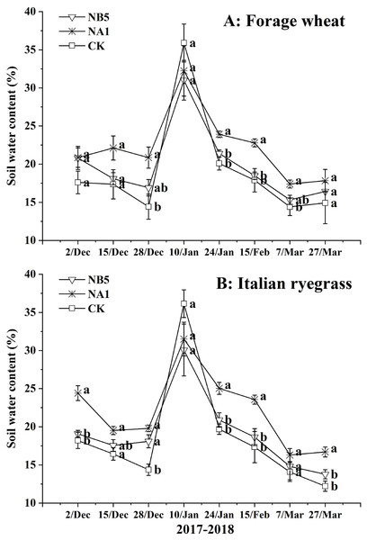 Changes of soil water content during wheat (A) and Italian ryegrass (B) growing period during 2017–2018.