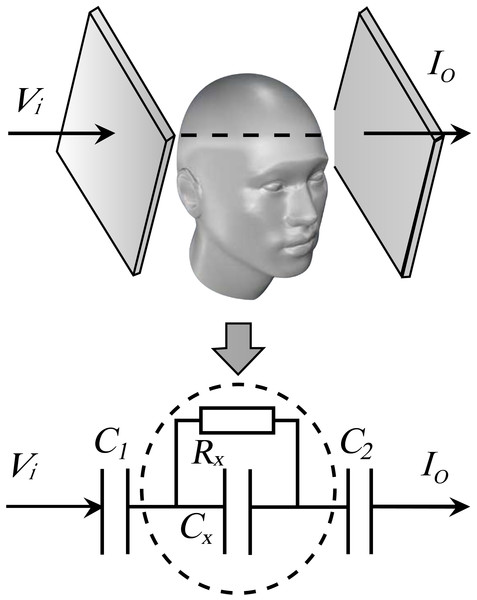 The equivalent measurement model of head with a parallel-plate capacitor.