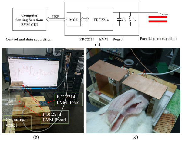 (A) Principle block diagram of measurement system. (B) Physical experiment system. (C) Animal experiment system.