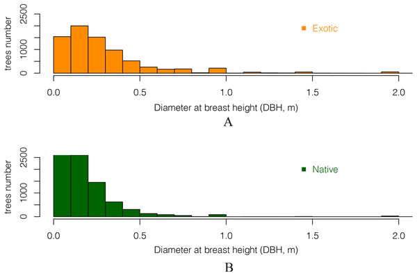 The DBH (Diameter at breast height) distribution of all (A) exotic and (B) native trees.