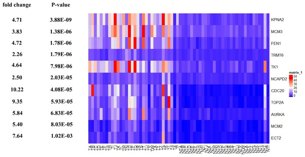 Te heat map of RPKM of KPNA2, MCM3, FEN1, TRMT6, and others. in normal and HCC samples.