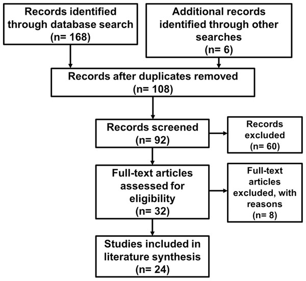 PRISMA flow diagram outlining the literature search and screening process.
