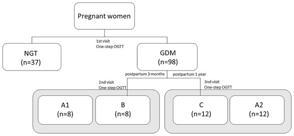 The classification of subjects to the study groups during diabetic pregnancy and the postpartum period based on the OGTT results.