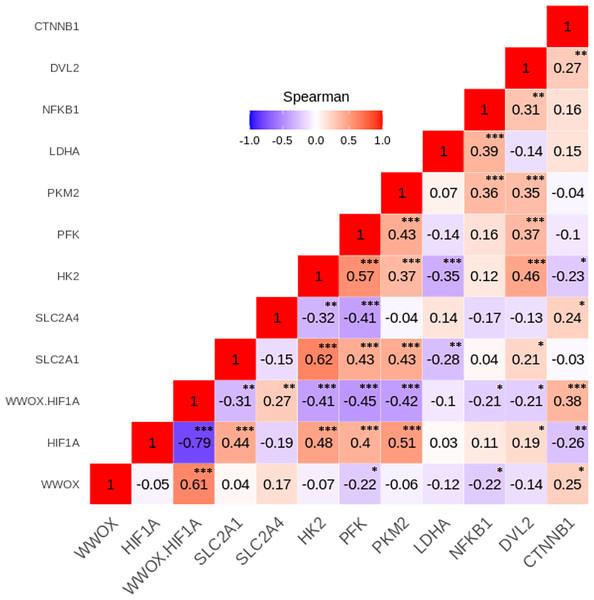 The Spearman’s correlation analysis of genes expression in the GDM group.