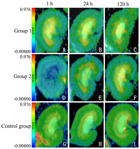 Sample diffusion maps of animal groups, shown chronologically.