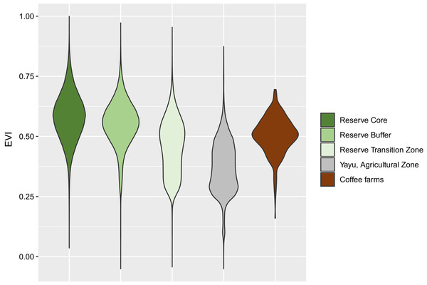 Violin plot of EVI values for Yayu Coffee Forest Biosphere Reserve and coffee farm locations.