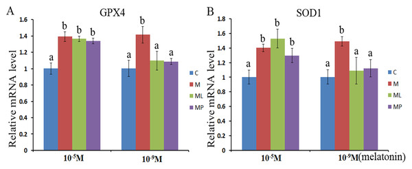 Effects of high dose (10−5 M) and low dose (10−9 M) melatonin and melatonin receptor antagonist supplementation on granulosa cells antioxidant related genes expression (SOD1 and GPX4).