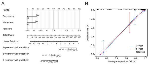 Nomograms to predict 1-year, 3- year and 5-year survival probability in osteosarcoma.