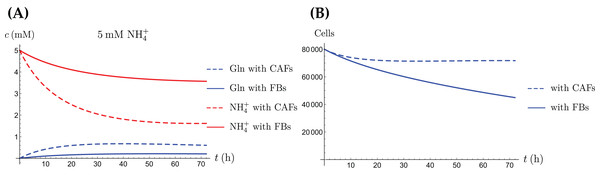 A comparison of the simulated concentrations of Gln and NH4+ (A) and the total number of live cells (B) of the coculture model (3a)–(3e), for regular CAFs (dashed lines) and for “normalized” fibroblasts (solid lines), where we have set kCAF 2 = 0.