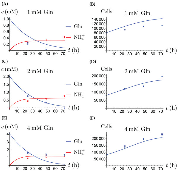 (A, C and E) The concentrations of NH4+ and Gln when the CAFs are supplied with Gln; (B, D and F) the number of live CAFs.