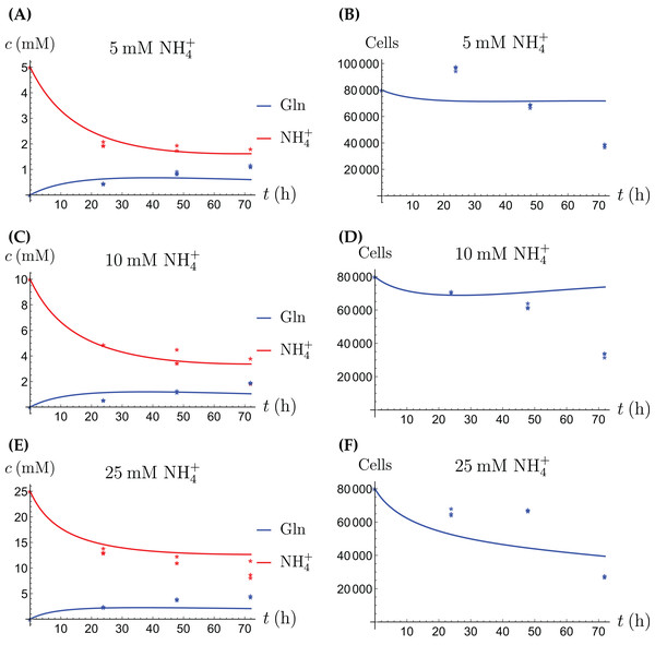 (A, C and E) The concentrations of NH4+ and Gln in the coculture scenario; (B, D and F) the number of live CAFs and cancer cells.