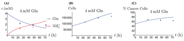 The behavior of the coculture under Gln supply. Shown are the concentrations of Gln and NH4+ (A), the total number of live cells (B), and the percentage of cancer cells (C).