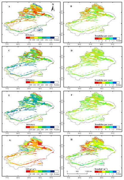 Trend analysis and spatial distribution of multiyear average values for the phenological metrics of grassland in Xinjiang for the period 2001–2014.