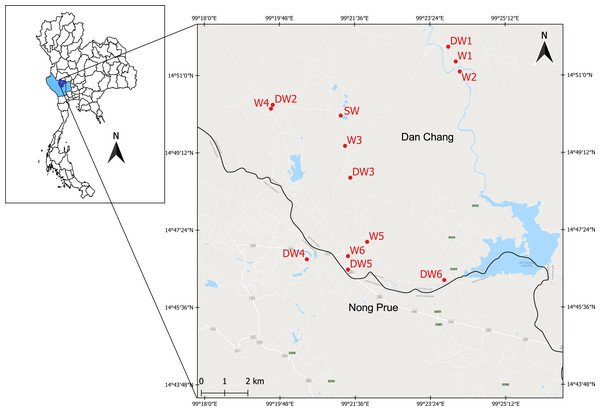 Study area showing the sampling locations of six deep groundwaters (DW1–DW6), six shallow groundwaters (W1–W6), and surface water (SW).