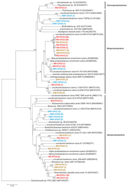 Neighbor-joining tree of partial nucleotide sequences of aioA gene retrieved from deep groundwater (DW), shallow groundwater (W), and surface water (SW).