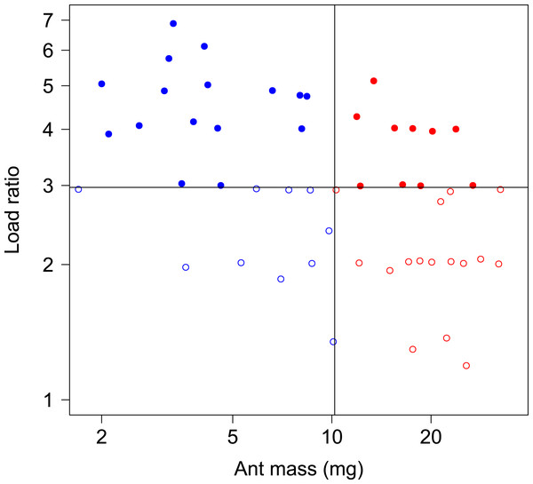 Body mass and load ratio of tested ants.
