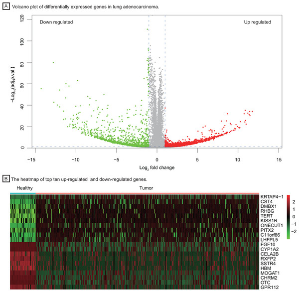Identification of differentially expressed genes between healthy lung tissues and tumor tissues.