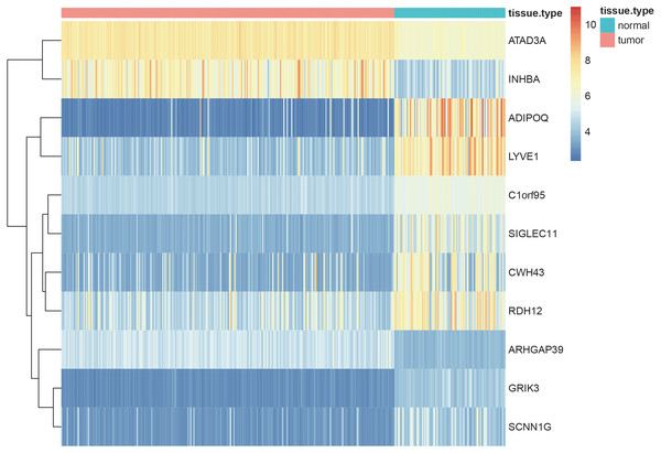 Heatmaps showing the expressopms pf 11 hub genes between the gastric cancer patients and normal controls in training set.