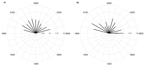 Diel activity patterns of lycosids from spotlighting and camera data.