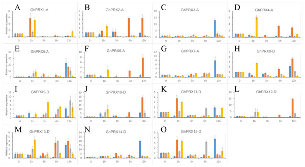 Expression patterns of Gh-PRX genes in G. hirsutum roots.