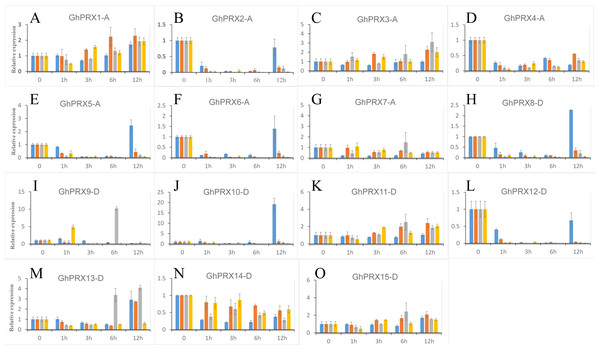 Expression patterns of Gh-PRX genes in G. hirsutum leaves.