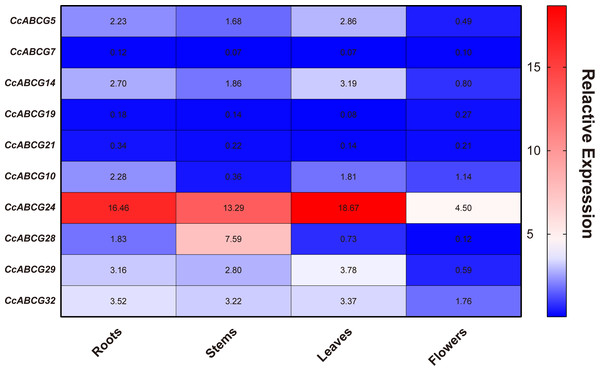 Expression analysis of pigeon pea ABCG gene in different organs.