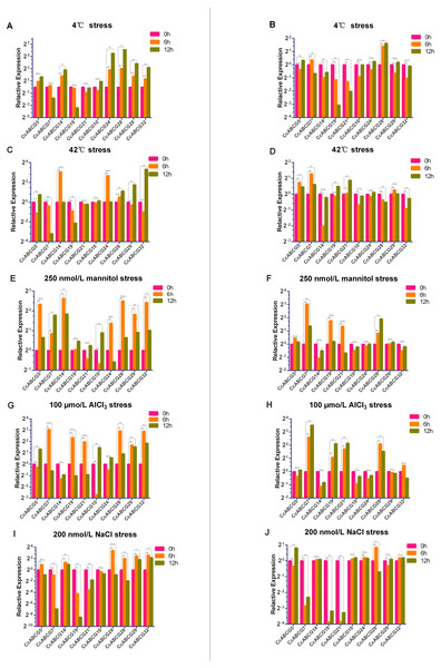 Relative expression analysis of the pigeon pea ABCG genes under different abiotic stresses.