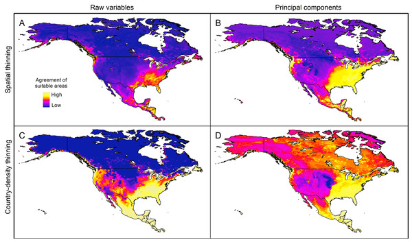 Sum of all suitable areas for Vespa mandarinia in North America derived from binarizing each replicate of selected models (model transfers done with extrapolation), using a 5% threshold and separated by calibration schemes ((A) Raw variables and spatially thinned occurrences; (B) Principal components predictors and spatially thinned occurrences; (C) Raw variables and country-density thinned occurrences; (D) Principal components predictors and country-density thinned occurrences).