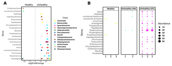 Differential abundance of ASVs in Pseudosiploria strigosa colonies with or without signs of White Syndrome.