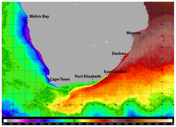 Satellite image (4-km resolution MODIS Aqua day-time SST) of the southern African sub-region showing average sea surface temperatures for 2008.