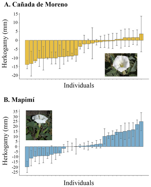 Herkogamy value average of individual plants of Datura inoxia: (A) Cañada de Moreno and (B) Mapimí.
